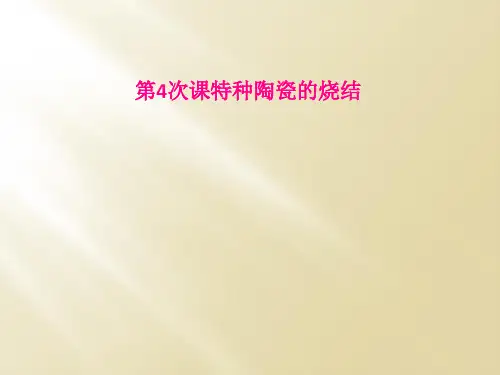 第4次课特种陶瓷的烧结