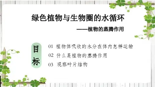 3.3绿色植物与生物圈的水循环-七年级生物上册优质课件(人教版)