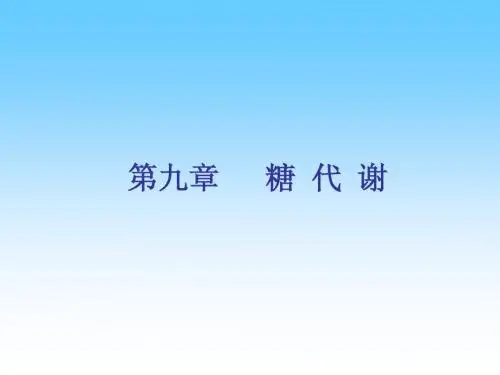 第九章 糖代谢