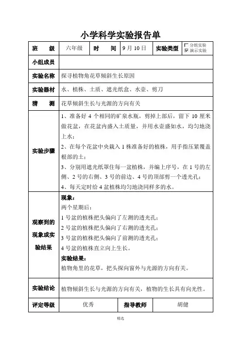 大象版六年级科学上册实验报告单