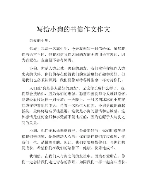 写给小狗的书信作文作文