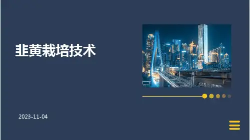 韭黄栽培技术韭黄栽培技术