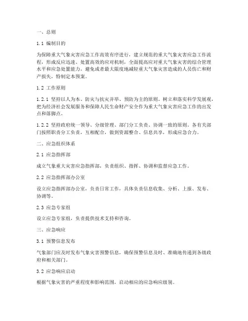 气象重大灾害应急预案