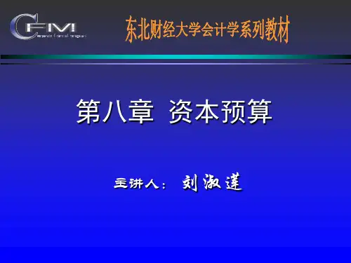 08资本预算