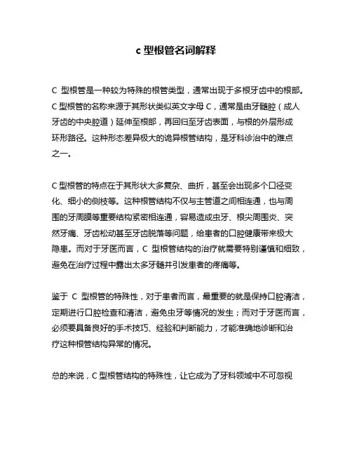 c型根管名词解释