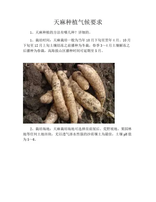 天麻种植气候要求