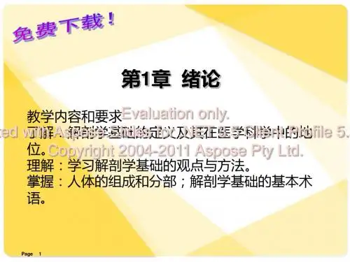 解剖学基础课件第1章绪论