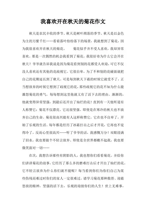 我喜欢开在秋天的菊花作文