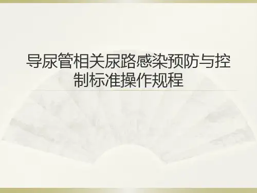 导尿管相关尿路感染的预防