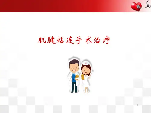 肌腱粘连松解PPT培训课件