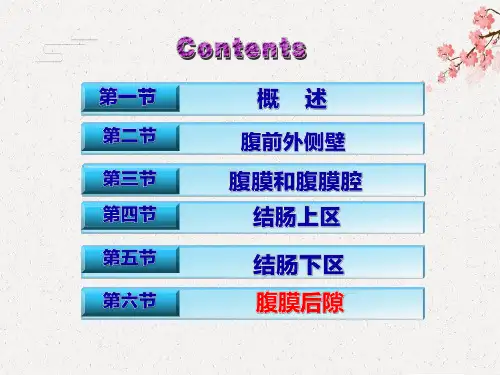 【局部解剖学】腹膜后隙