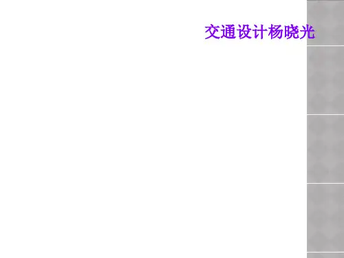 交通设计杨晓光