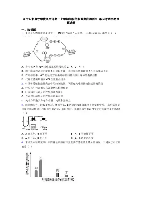 辽宁东北育才学校高中部高一上学期细胞的能量供应和利用 单元考试生物试题试卷