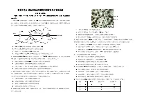 新高考生物第十四单元 基因工程及生物技术的安全性与伦理问题(B卷能力提升练)(考试版)