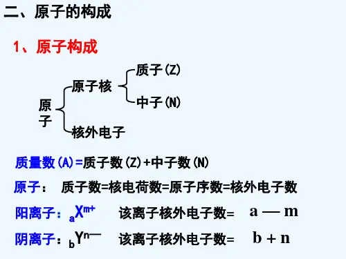 原子结构与核外电子排布