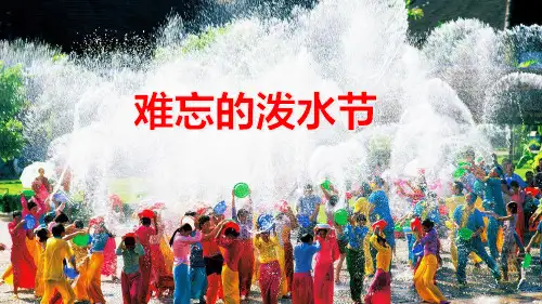 统编版二年级语文上册17.《难忘的泼水节》课件(共19张PPT)