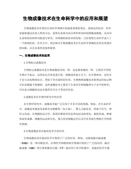 生物成像技术在生命科学中的应用和展望