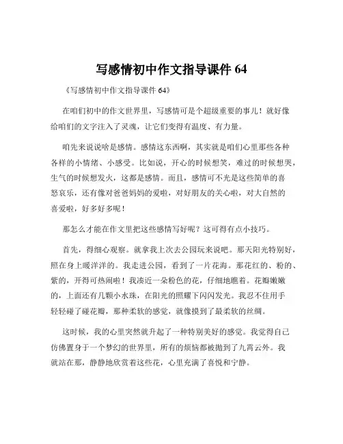 写感情初中作文指导课件64