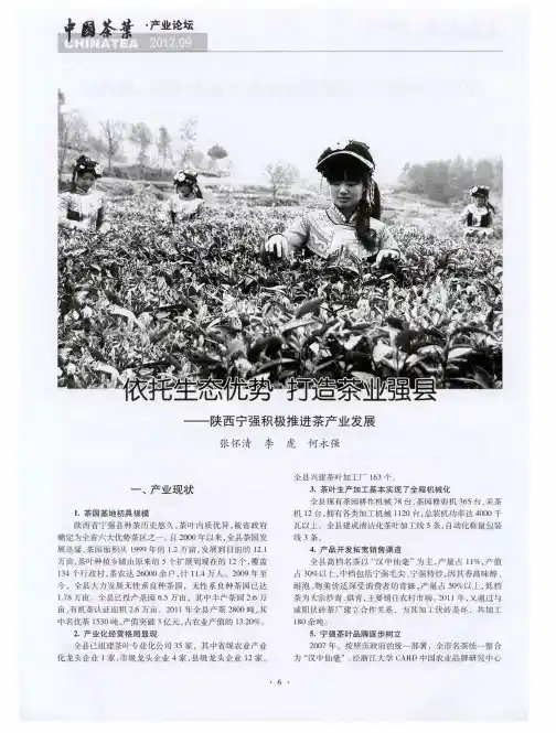 依托生态优势 打造茶业强县——陕西宁强积极推进茶产业发展
