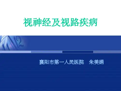视神经疾病(医学PPT课件)