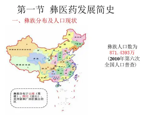 彝药发展简史课件