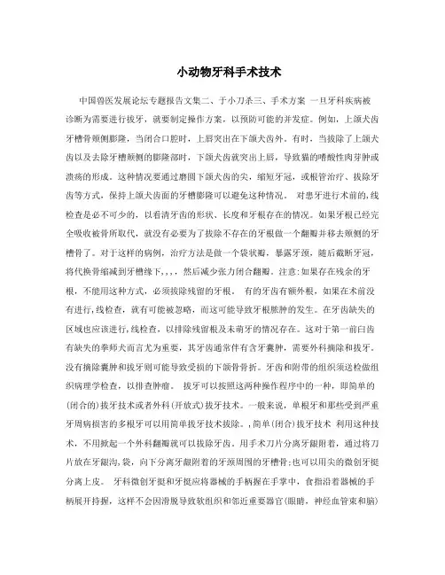 小动物牙科手术技术