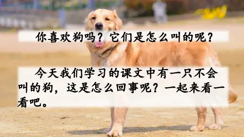 部编教材三年级上册语文《不会叫的狗》完美PPT