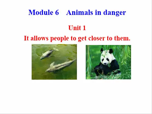 新外研版八年级英语上册配套课件：Module 6 Animals in danger Unit 1