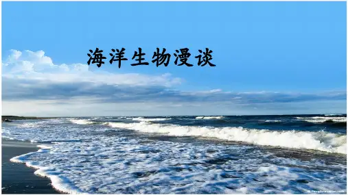海洋生物科普知识PPT课件