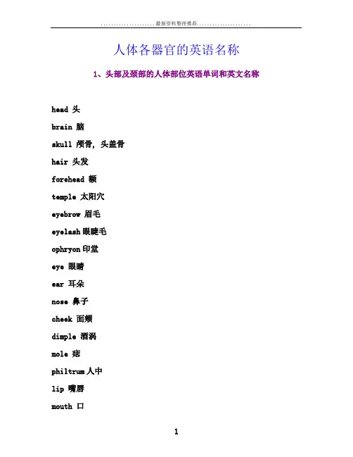 人体各器官的英语名称