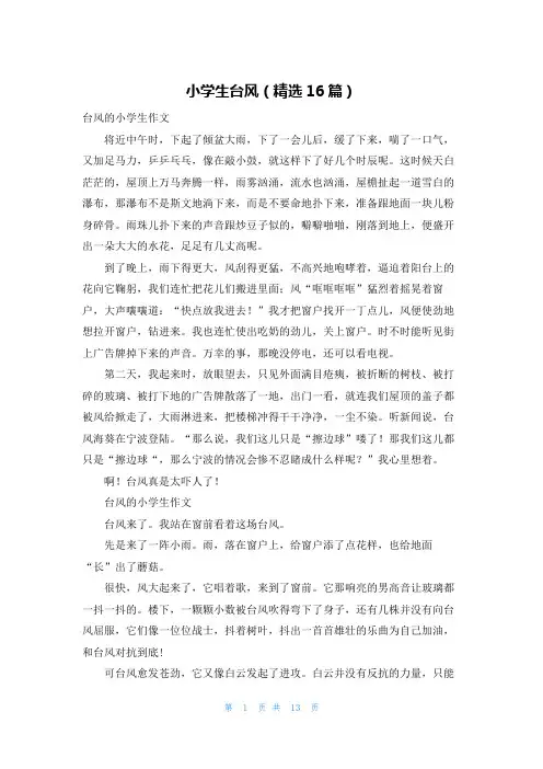 小学生台风(精选16篇)