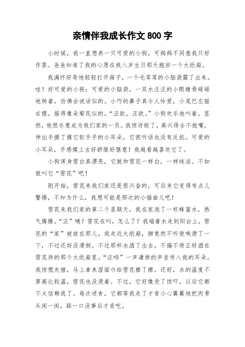 亲情伴我成长作文800字_作文