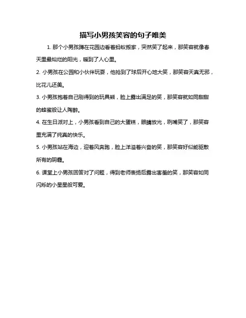 描写小男孩笑容的句子唯美