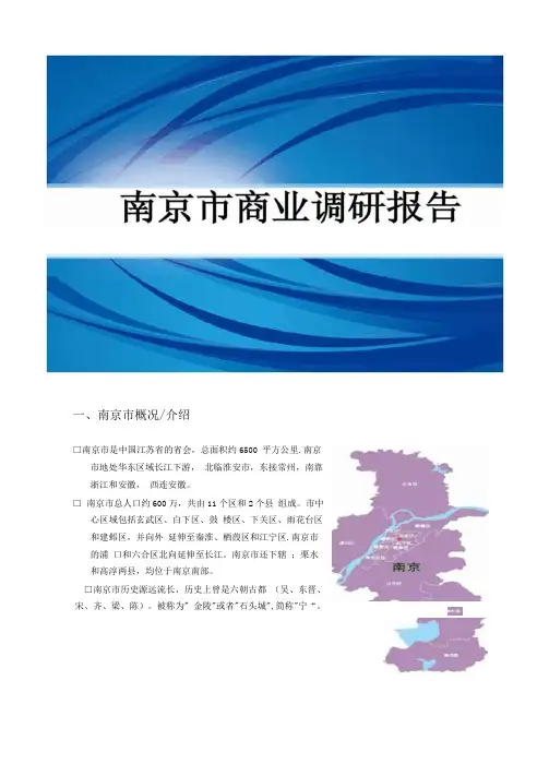 南京商业调研报告精