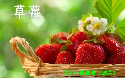 《草莓》ppt课件(16页)