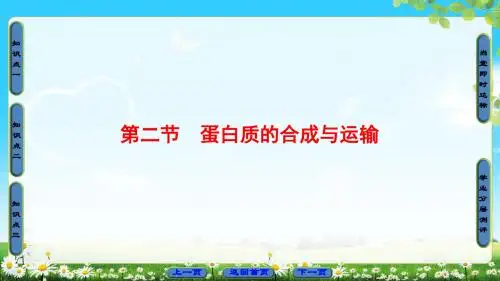 2018中图版高中生物必修一2.1.2《蛋白质的合成与运输》PPT课件