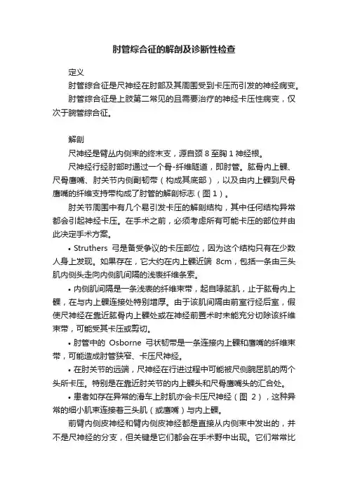 肘管综合征的解剖及诊断性检查