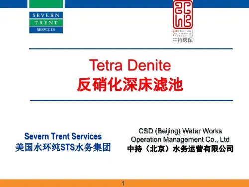 反硝化深床滤池 - 打印版
