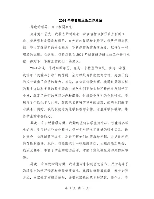 2024年培智班主任工作总结