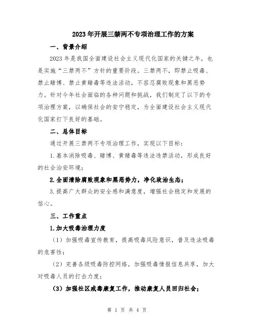 2023年开展三禁两不专项治理工作的方案