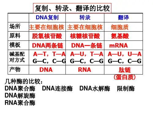 遗传的分子基础2.ppt