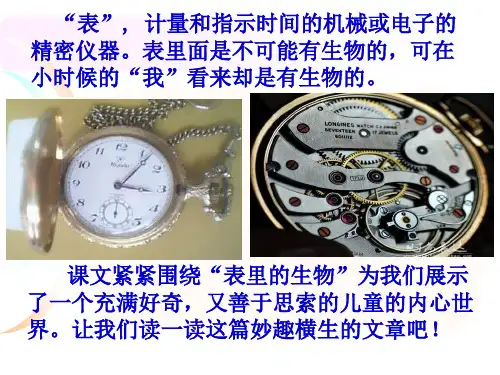 六年级语文上S版表里的生物课件