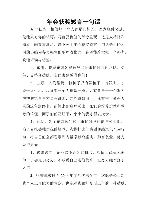年会获奖感言一句话