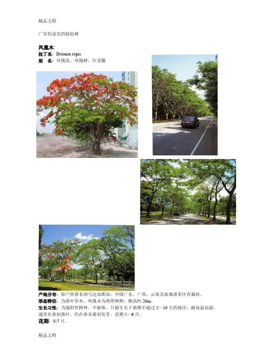 广东较适宜的景观、庭院树木资料讲解