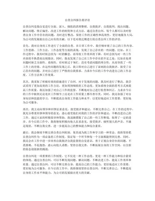 自查自纠报告册评语