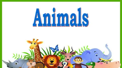 四年级下册英语课件Unit3Animalsjoinin 剑桥英语共22张