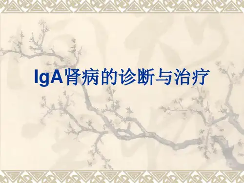 IgA肾病的诊断与治疗【54页】