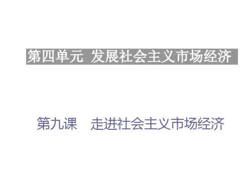 高中思想政治第九课 走进社会主义市场经济优秀课件