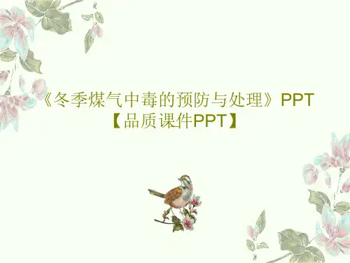 《冬季煤气中毒的预防与处理》PPT【品质课件PPT】32页PPT