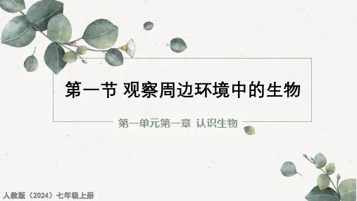 1.1.1调查周边环境中的生物课件(共25张PPT)初中生物学人教版(2024)七年级上册